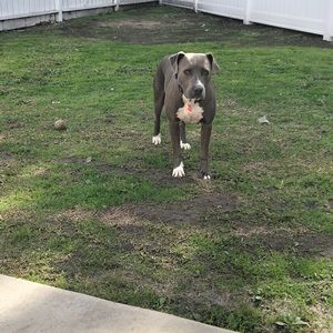 Meet your Posher, Susana